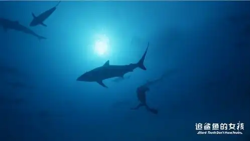 湖南妹子带着纪录电影追鲨鱼的女孩回家乡
