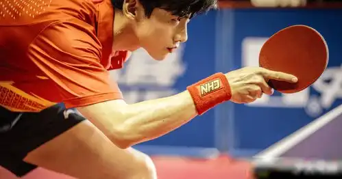 继陈情令后,又一双男主电视剧来袭,两大人气明星不看可惜