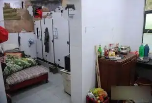 此景不止中国有盘点全球各地蜗居
