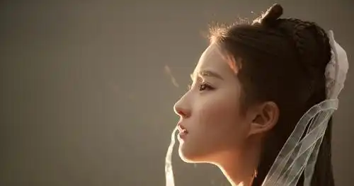 梦华录小龙女和杨过合作,刘亦菲新剧大家还会支持吗
