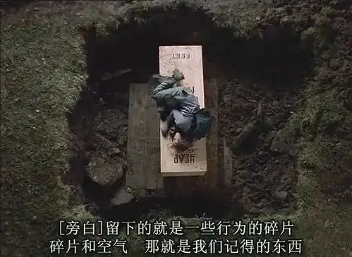 生于羞耻,死于还行