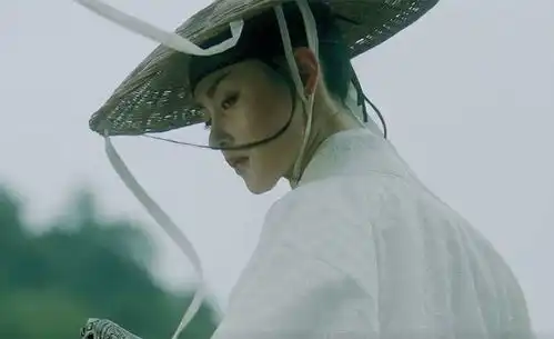 雪中悍刀行看到温华和洪洗象,这不是本色出演吗