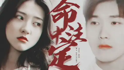 命中注定双失忆先婚后爱,无论几生几世我都会找到你迎娶你