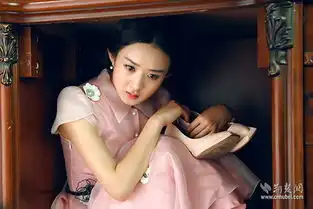 胭脂热血悬疑赵丽颖首演特工屡遭坎坷
