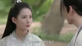 为敏敏和杨逍的三观点赞,果然是智商担当