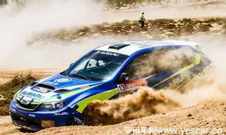 每年多少亿打水漂斯巴鲁为何烧钱这项运动