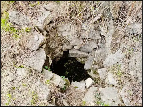 满城尽带黄金甲,一路逍遥羊脑山2021年清明节小穿越7