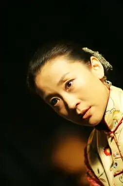 让子弹飞经典爆笑台词
