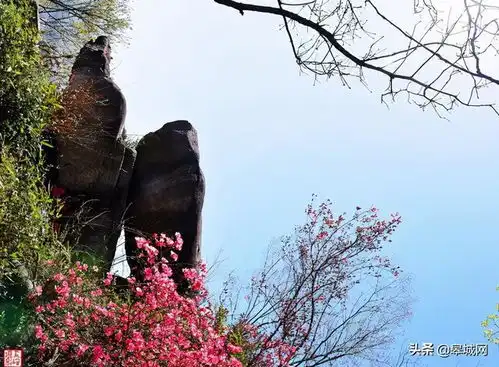 春游江淮请您来丨金寨新增一处网红打卡地
