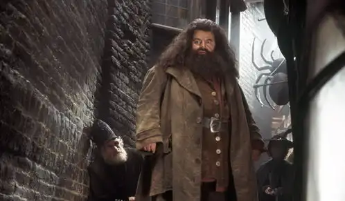 哈利波特盘点那些无辜被关入阿兹卡班的巫师
