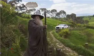 张家口九福标致
