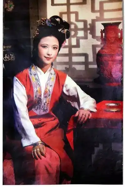 最美红楼梦里人
