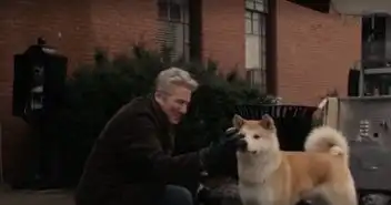 温情催泪忠犬八公的故事,狗狗在车站等了主人9年
