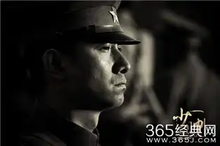 文章不放过老大爷复出宣传无孔不入