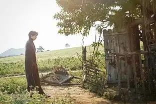 釜山行男主新剧曝剧照刘仁娜陆星材确认出演