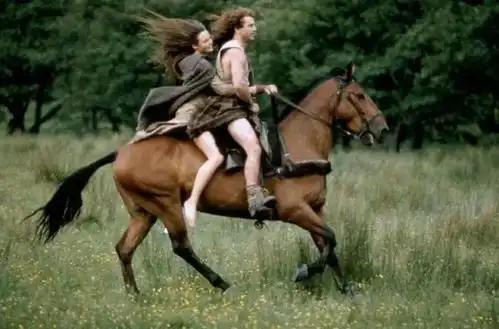 艾米1895电影街每期新片推荐