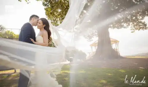 cool跟着想见你爱的迫降取景地办婚礼,你就是我的主角