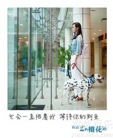 有点二的桃花运光棍节曝相信爱情主题剧照