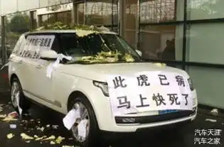 路虎车主被贴负面标签到底冤不冤