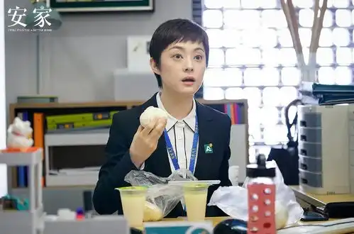 新剧安家片酬引热议孙俪总片酬1620万元,单集30.5万元算高吗