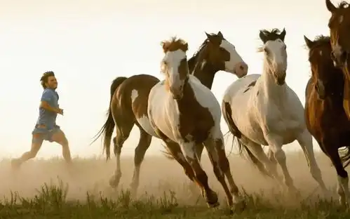 动物荒野与人类,为何保持必要的界限
