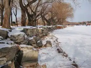 和你一起走过春夏秋冬之颐和园
