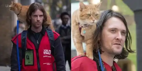 流浪猫鲍勃去世,一猫一人相互救赎的故事,迪士尼都想买版权