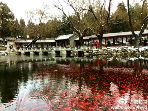 2018圆父母一个首都梦,回首青春,追忆父母的芳华岁月春节带上父母去北京
