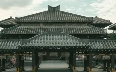 雪中悍刀行什么时候播出
