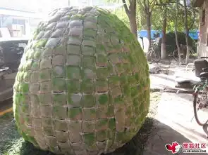 北漂小伙6400元打造蛋形蜗居,图解蛋形蜗居制作过程