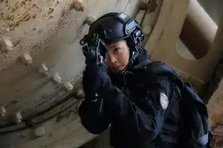 特警力量爱哭警花王妍之成功逆袭
