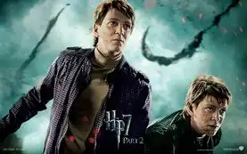 哈利波特与死亡圣器下harrypotterandthedeathlyhallowspartii电影壁纸哈利波特与死亡圣器下harrypotterandthedeathlyhallowspartii电影壁纸软件截
