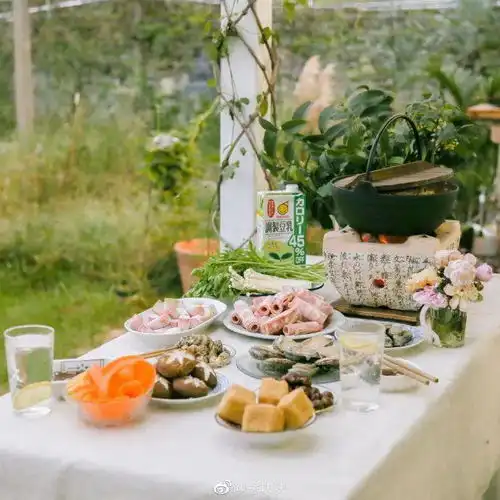 18岁就拥有6600m2的家江苏少女爆改乡下租来的土房惊艳全网这是什么神仙生活