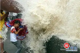 台风灿鸿袭来沿海地区现巨浪武汉赴台两航班取消