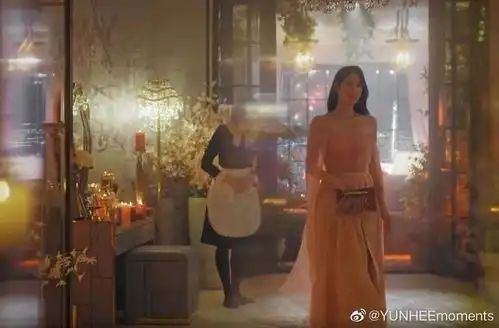 顶楼一出,林品如看了也要学几招