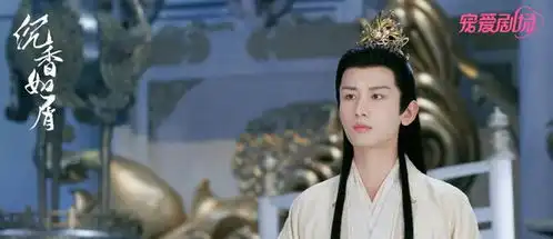 成毅出演的电视剧你看过几部分享第五弹
