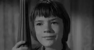 杀死一只知更鸟截图
