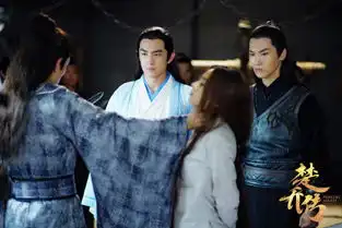 楚乔传燕洵为赵丽颖断指宇文玥借酒消愁组图