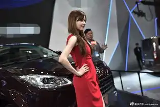 北京车展泷泽萝拉现身助阵展方别趴车上
