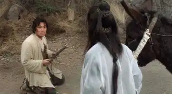 上天注定会发财的生肖