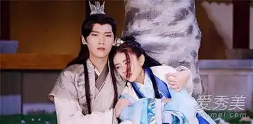 双世宠妃全集资源外泄墨连城穿胸重伤险丧命