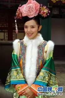 甄嬛传女星背景揭秘
