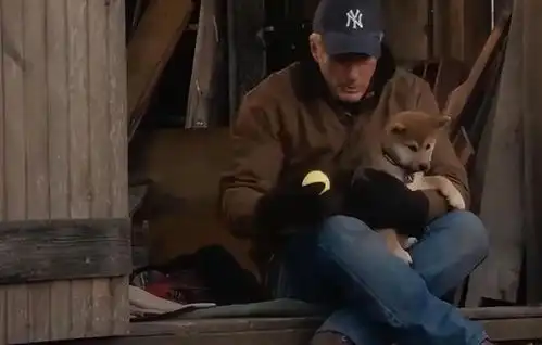 冯小刚忠犬八公首波口碑出炉了打分评价都一针见血
