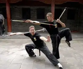 美国斯坦福大学开少林功夫课由少林寺和尚执教