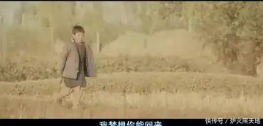 追风筝的人每个人心中都有风筝,让我们勇敢去追
