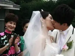 回家的诱惑2011年李彩桦主演电视剧
