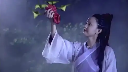 春光灿烂猪八戒太白金星见到小龙女吓得腿发抖,太丢人了
