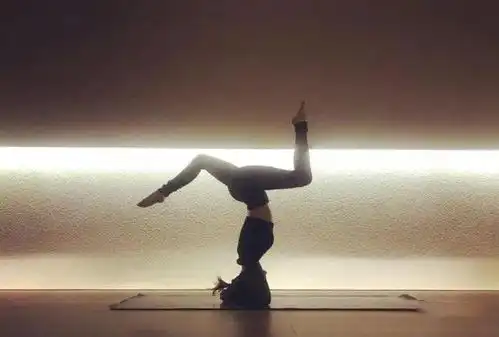 怦然再心动,一条会瑜伽的美人鱼王子文
