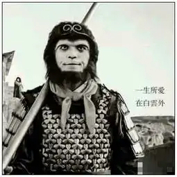 求大神截图一张大话西游至尊宝和紫霞仙子的截图做头像要上下白边的那种