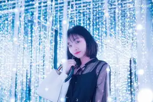 2018年度最受欢迎项目之一镜花宫灯光秀